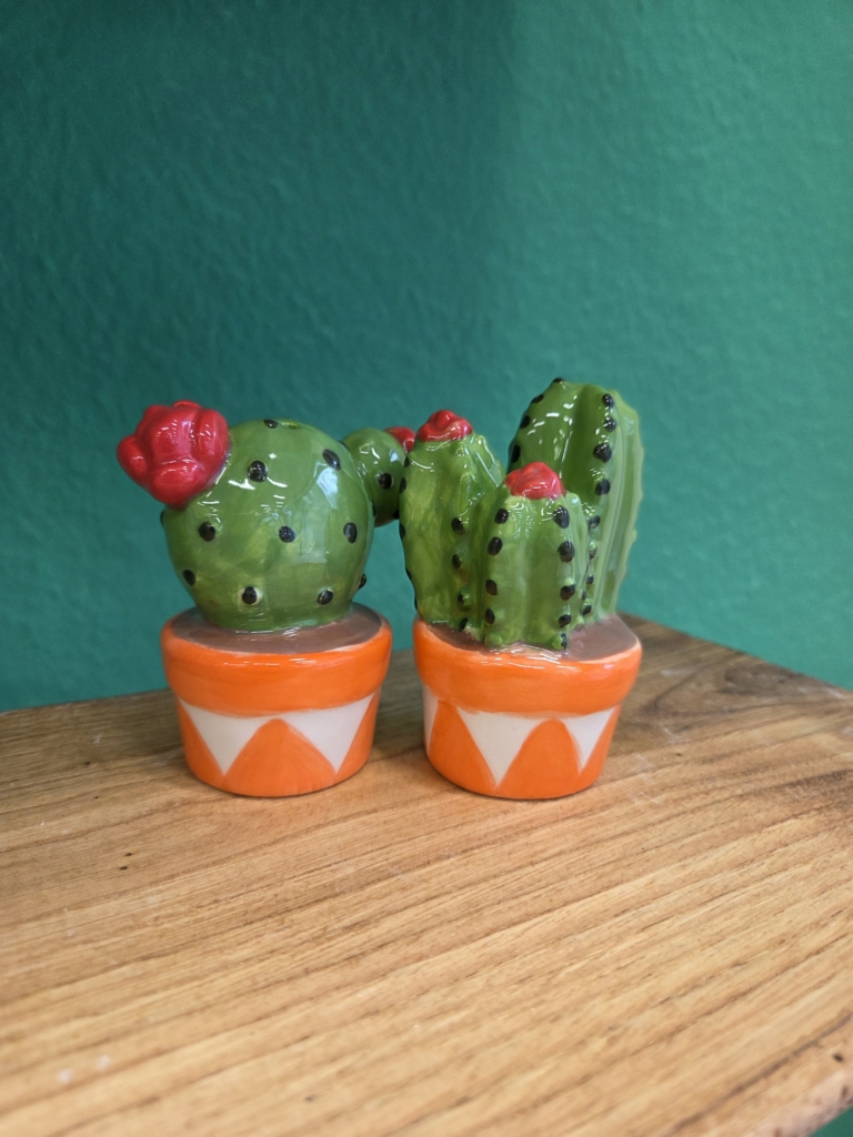 Cactus poivre et sel peints à la main dans notre atelier à Bienne